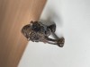 Animal Carving